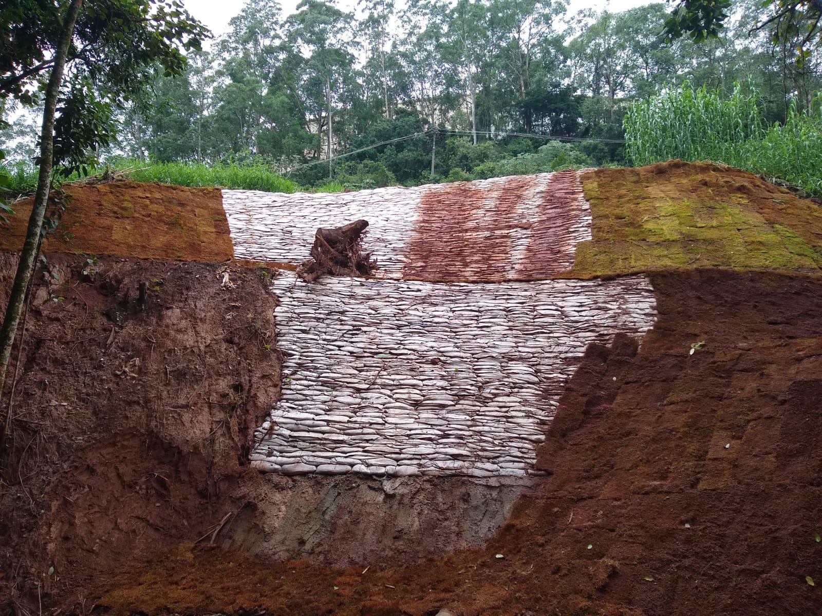 Recuperação de Taludes — obra 4
